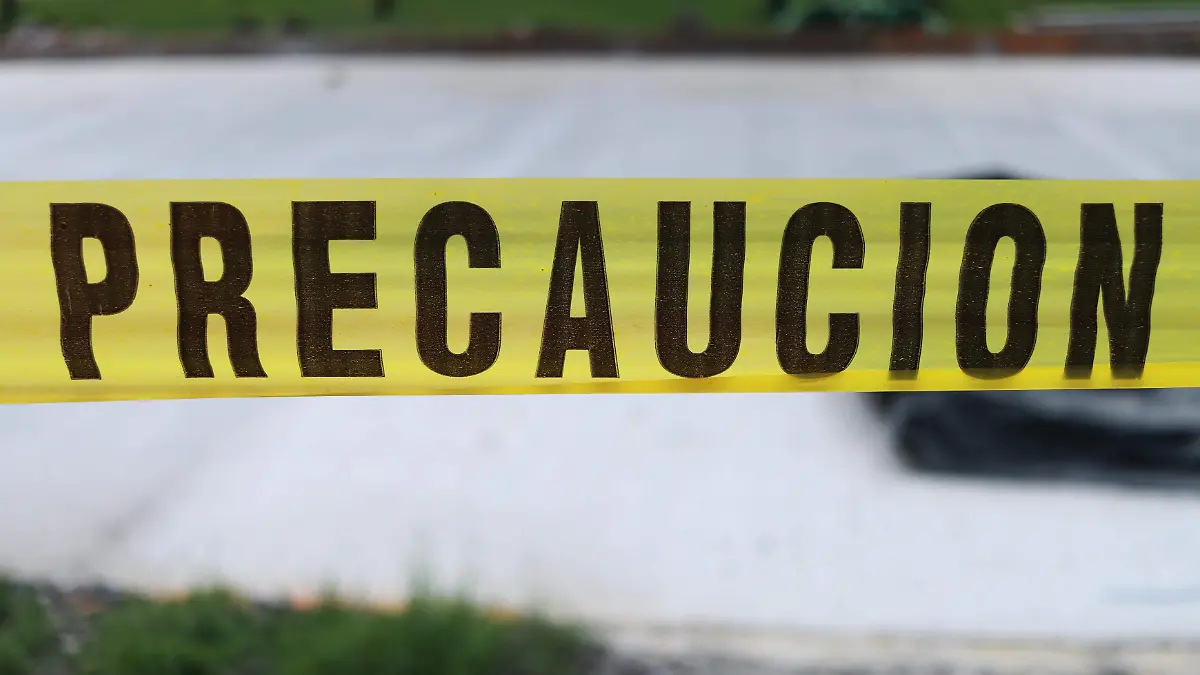 fuerza civil policia (49)
