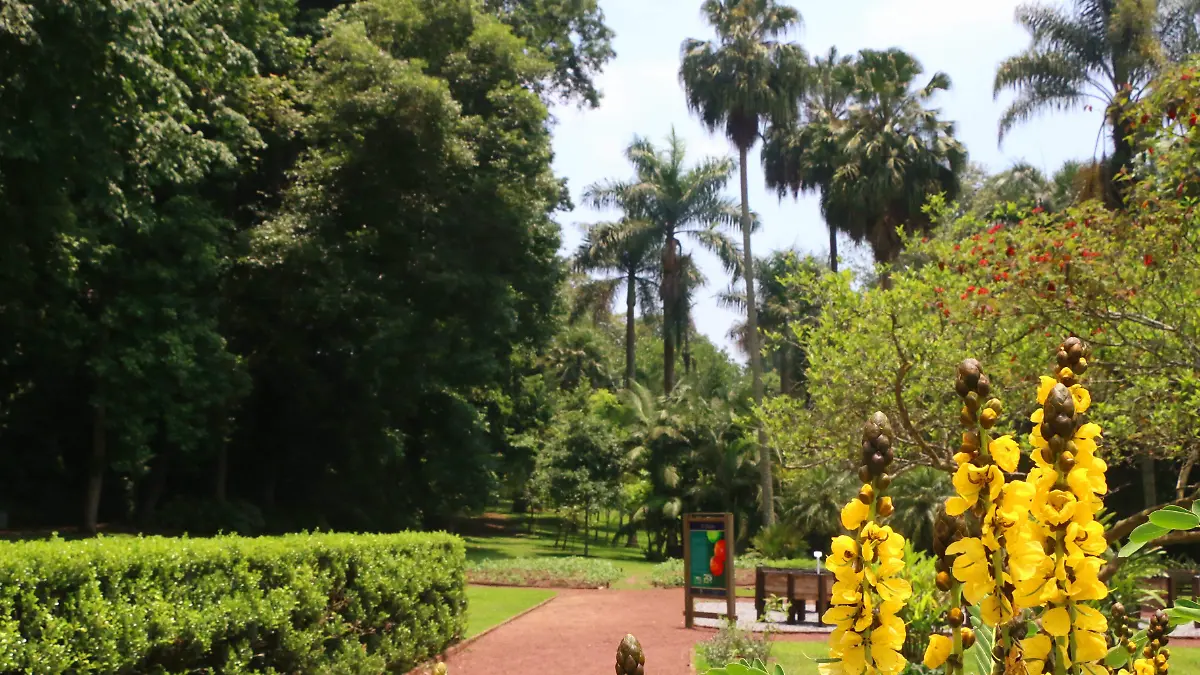 Jardín Botánico