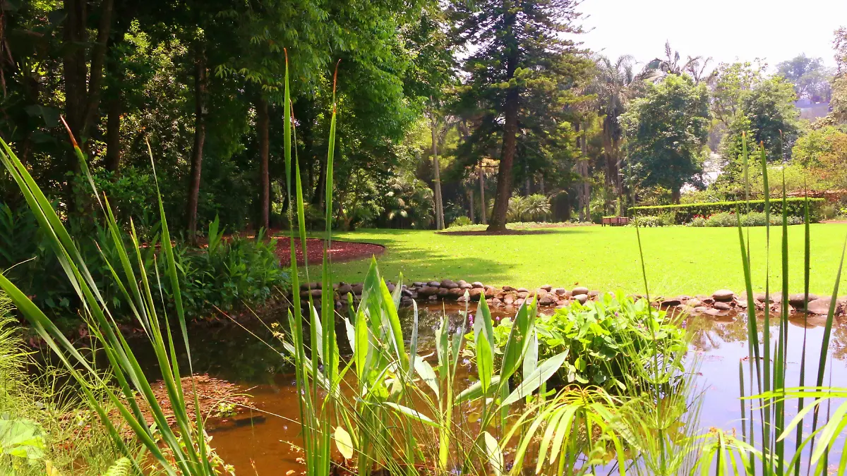 jardín Botánico