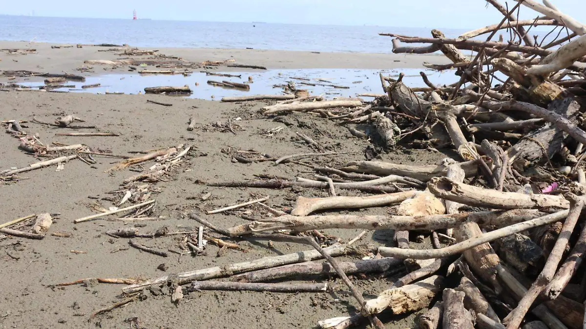 Palizada en playas de Antón Lizardo