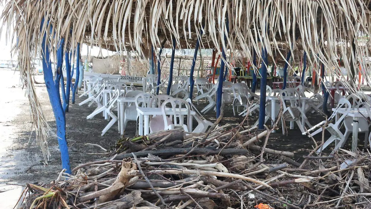 Palizada en Anton Lizardo 