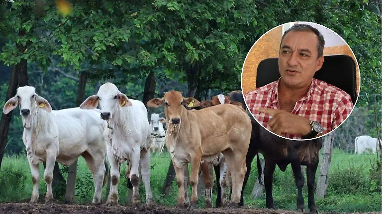 CUE - 2025-07-11T182534.742