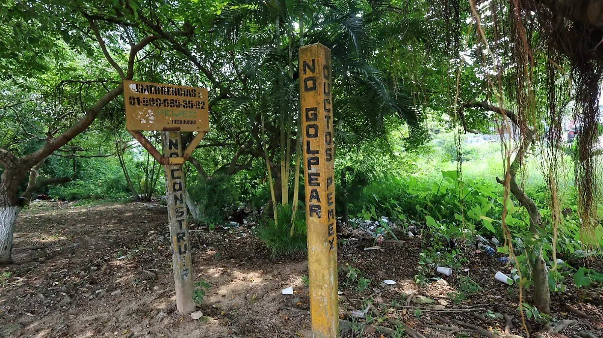 Mundo Nuevo, Coatzacoalcos