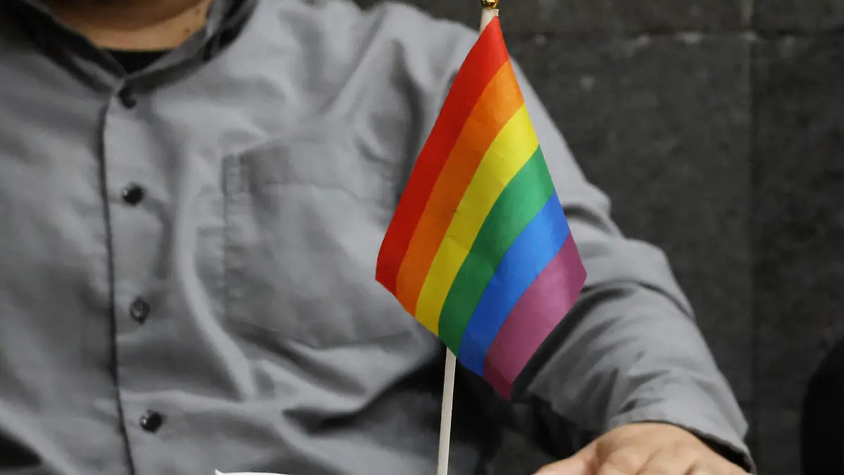 Orgullo y Justicia (32)