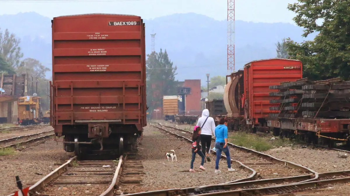 tren (1)