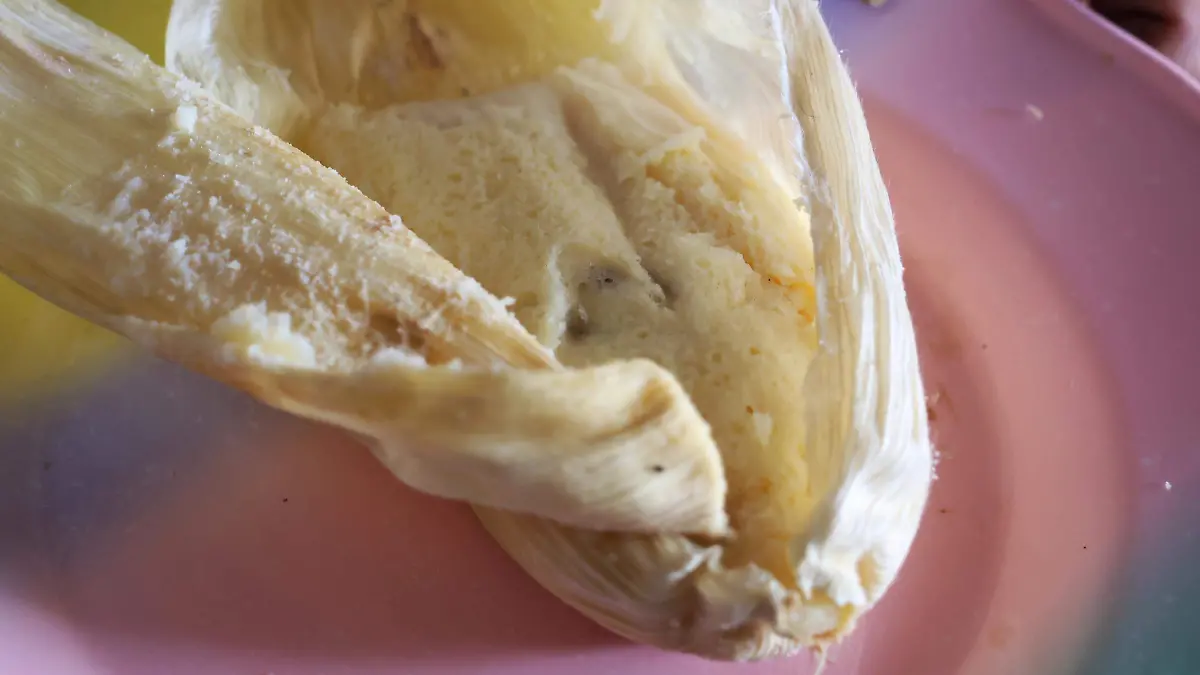 Xico María Magdalena (7)