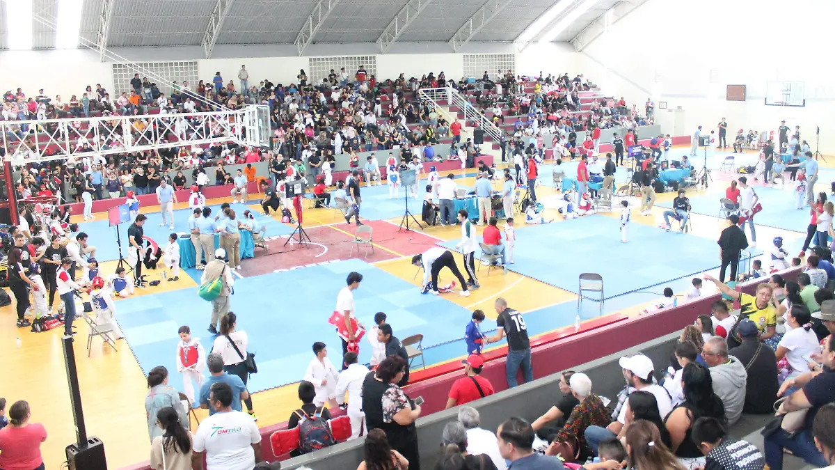 COPA ELITE TKD 1