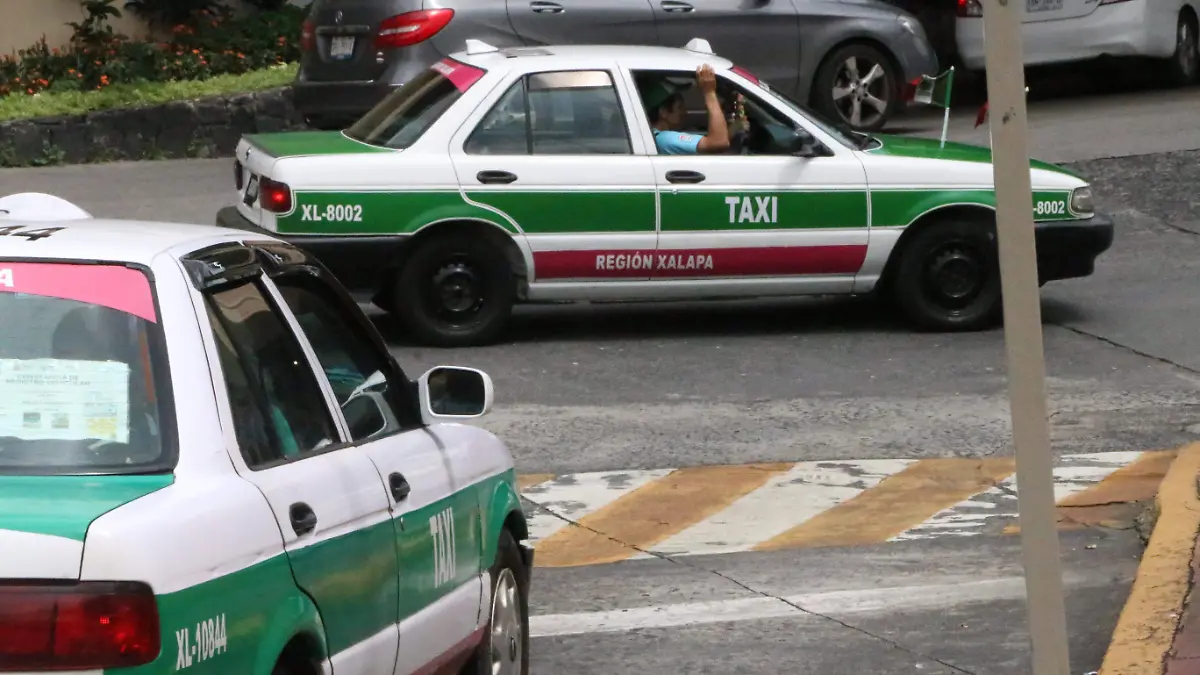 david- Taxis8(1)