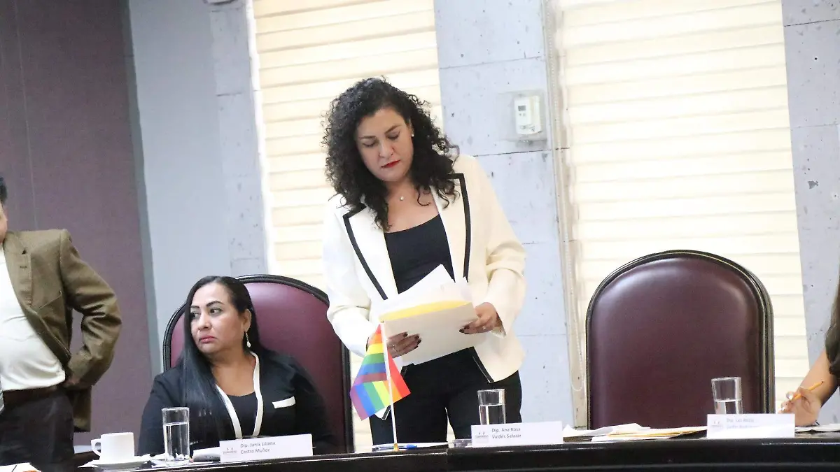 Diputada local del PRI, Ana Rosa Valdés Salazar