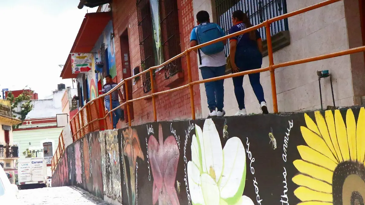 david- Calle González Ortega 41