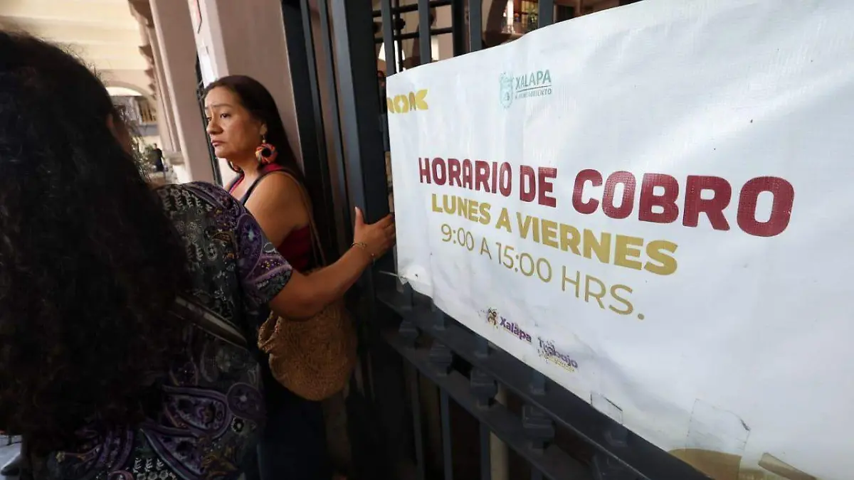 Artistas independientes durante protesta en Palacio Municipal de Xalapa