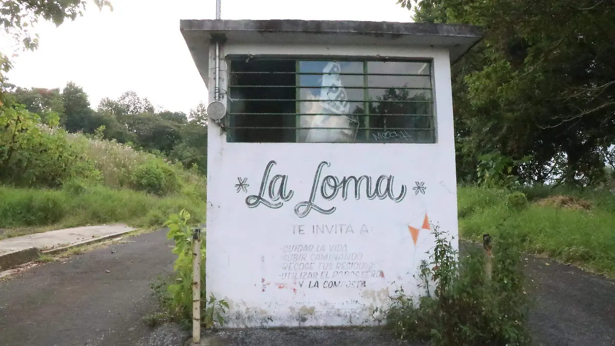 david- Parque la lom