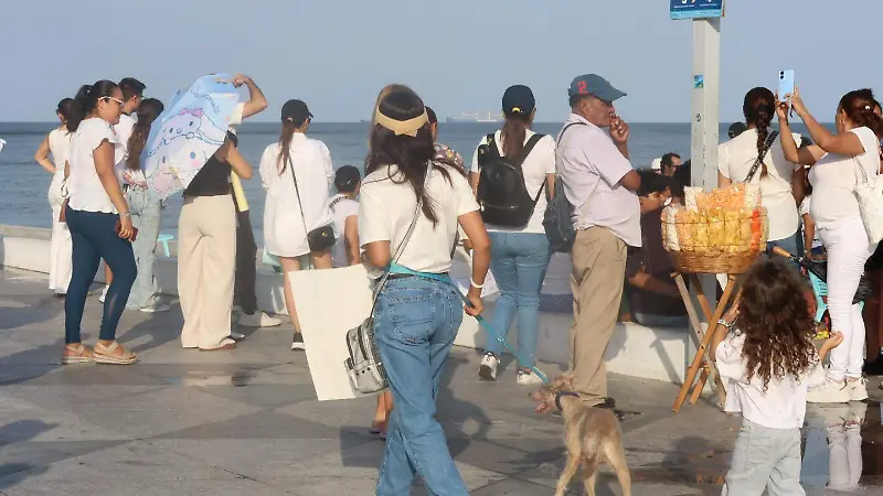 Marcha por derechos de los perros
