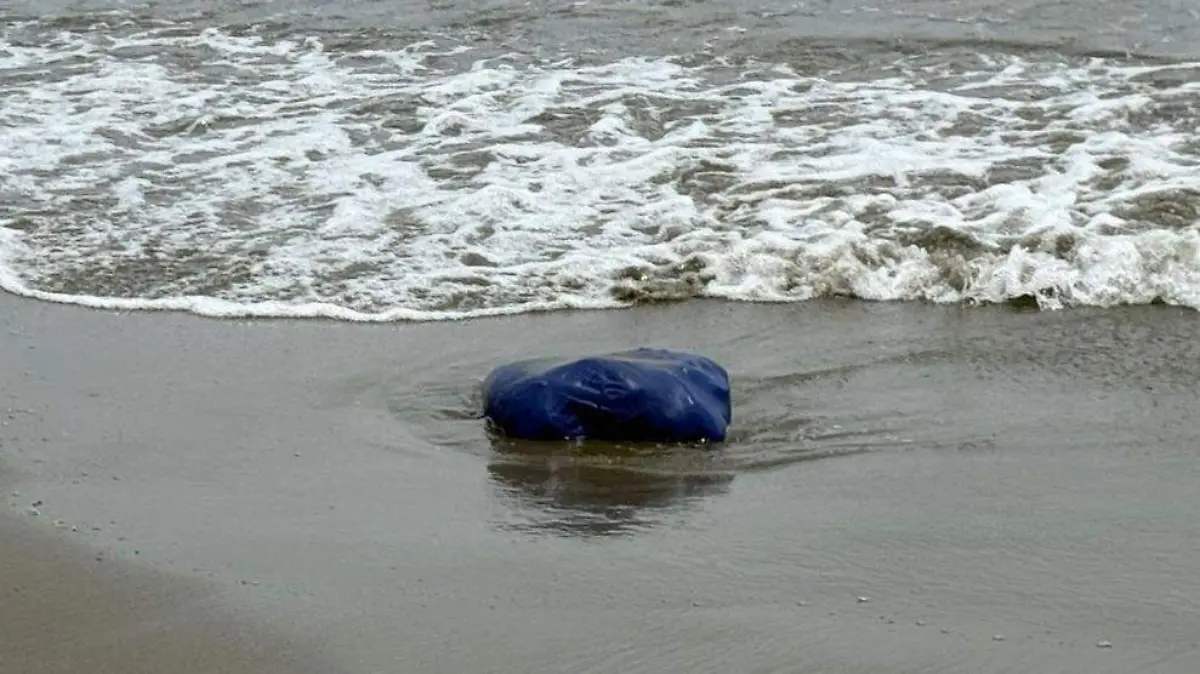 Encuentran restos de aves en playa de Boca del Río