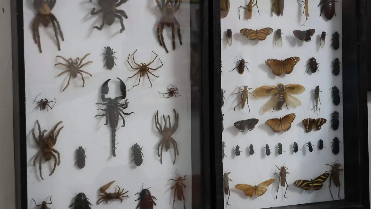 Biólogo Fabian  Ramírez 