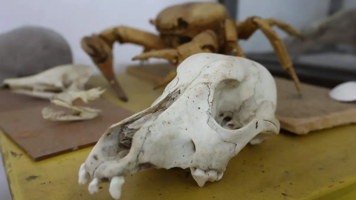 Biólogo Fabián Ramírez 