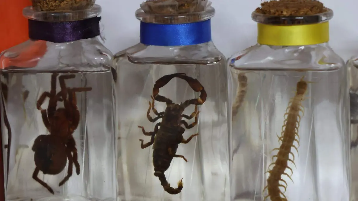 Biólogo Fabián Ramírez 