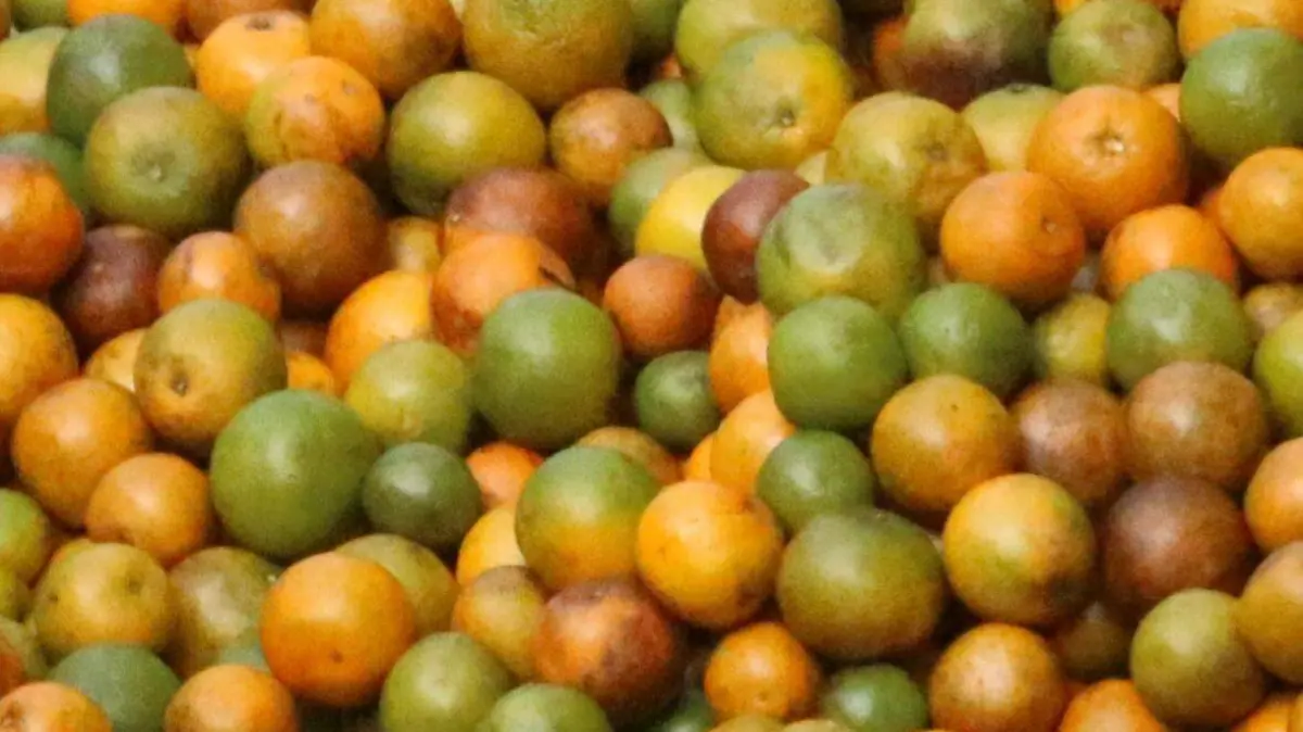 Naranjas