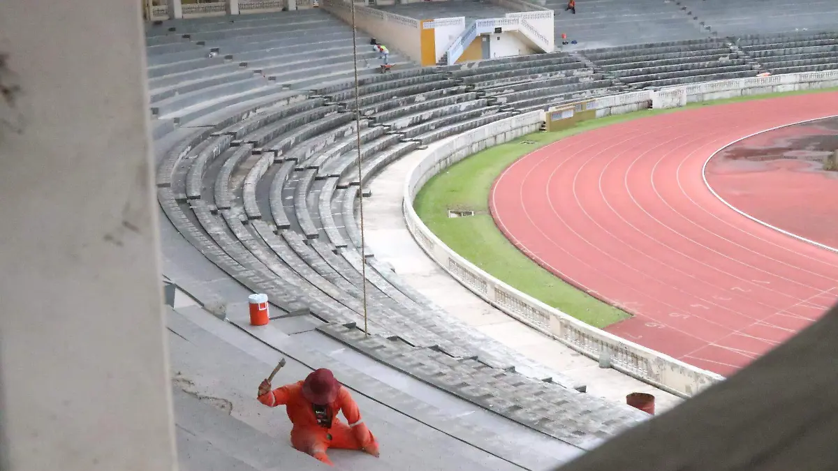 david- Reparación 95