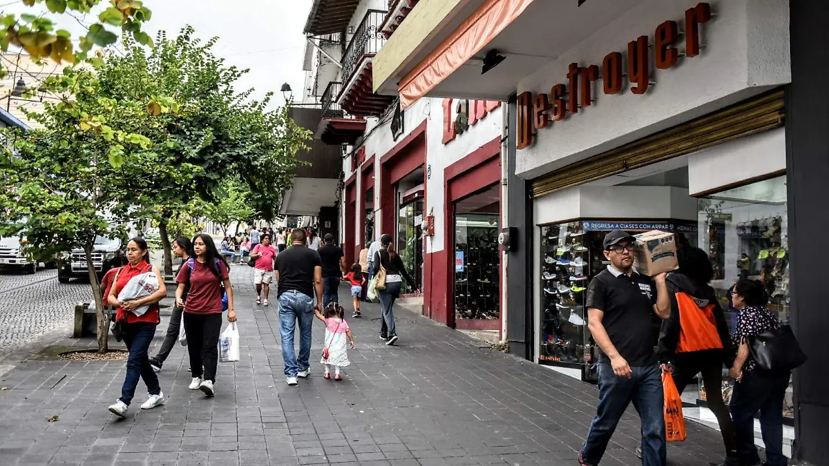 RENE-COMPRAS