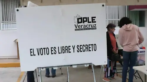 david- Elección Extraordinaria6)