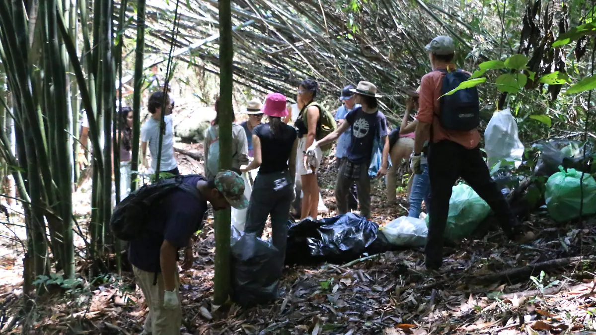 Educación Ambiental