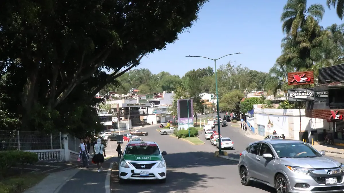 david- Urbanismo (1)