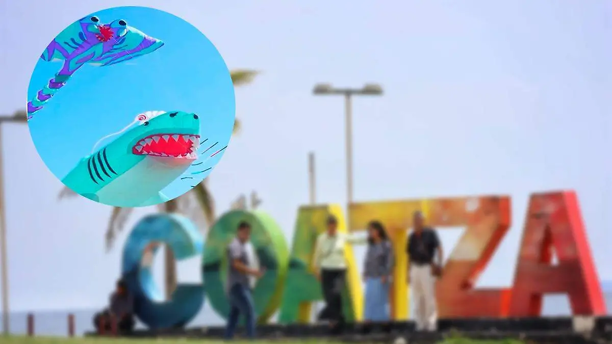 Festival globos