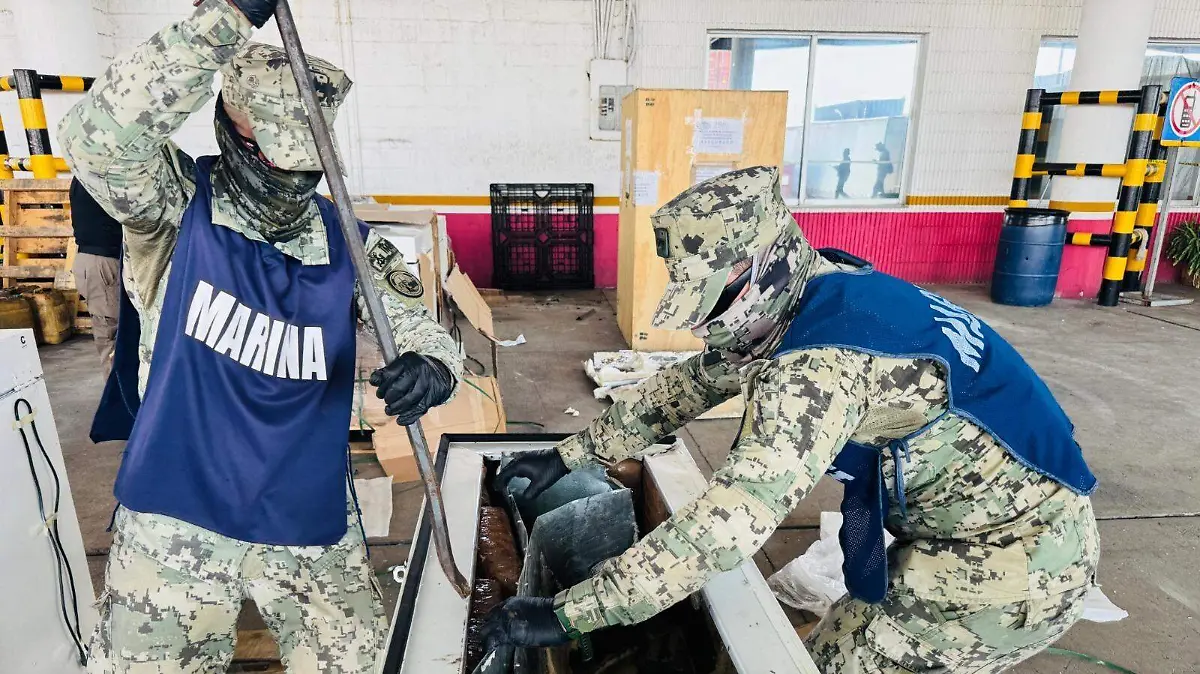 Decomisan la Marina más de 300 kg de presunta marihuana en el puerto de Veracruz