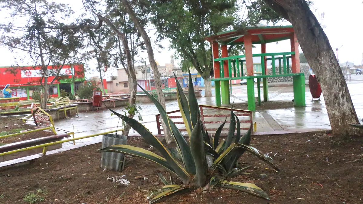 San Antonio Limón Totalco