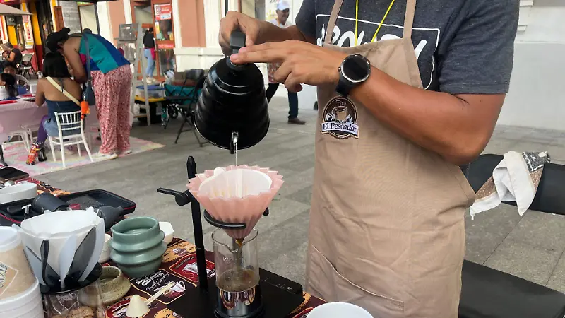 Lechero y canilla protagonizan festival en zócalo de Veracruz