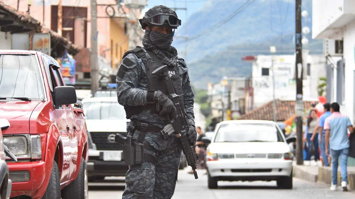 1013146_Operativo Frontera Comalapa_web (1)