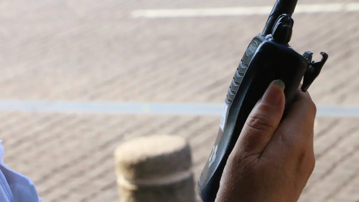 david- Falta de Estrategia4MG_2771