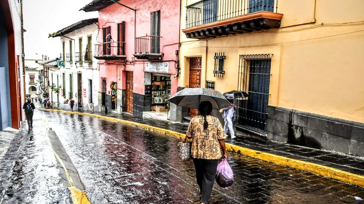 RENE-LLUVIA