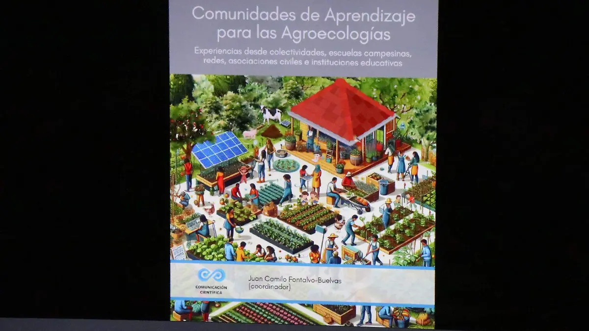 david- Huertos Urbanos (2)