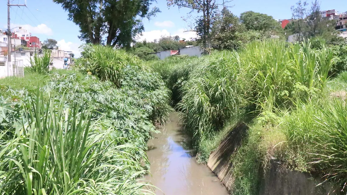 Río contaminado