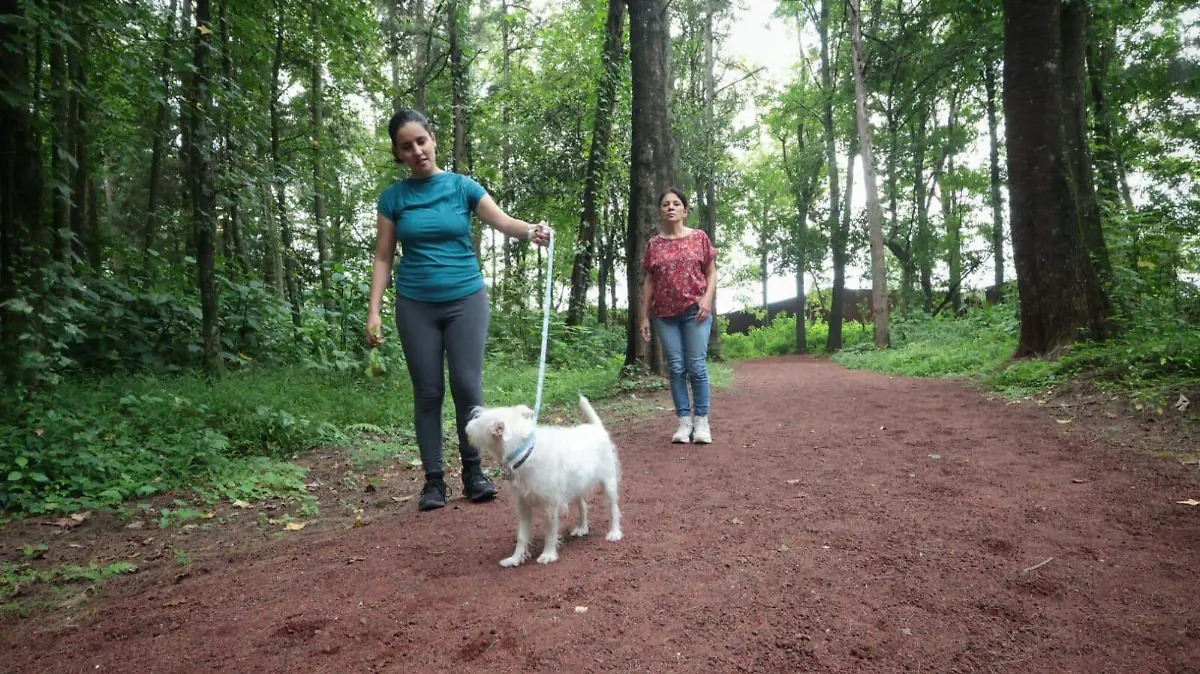 Vitapista de la BENV