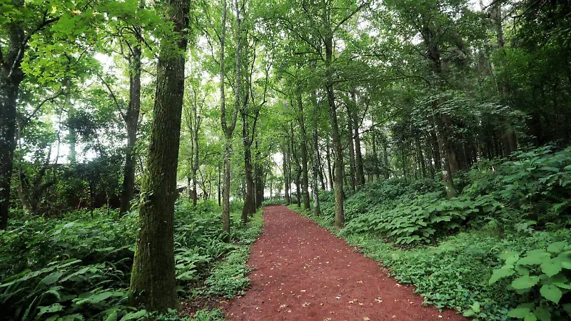 Vitapista de la BENV