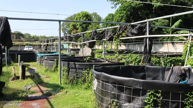 Granja acuicola ubicada en Medellin de Bravo
