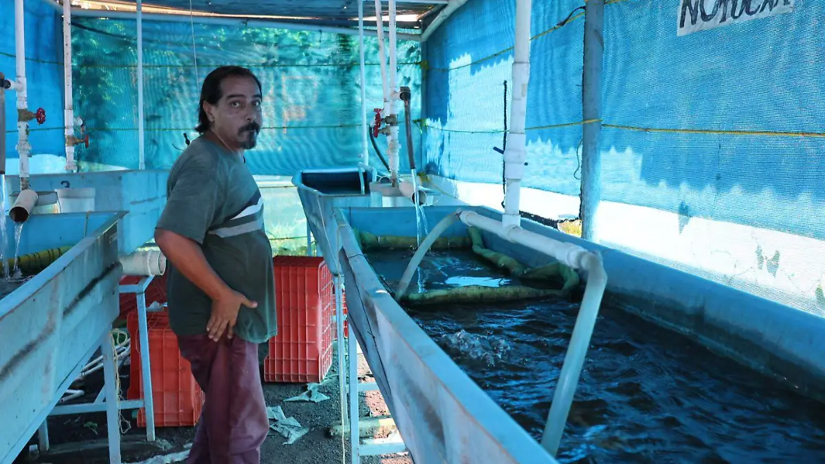 Granja acuicola ubicada en Medellin de Bravo