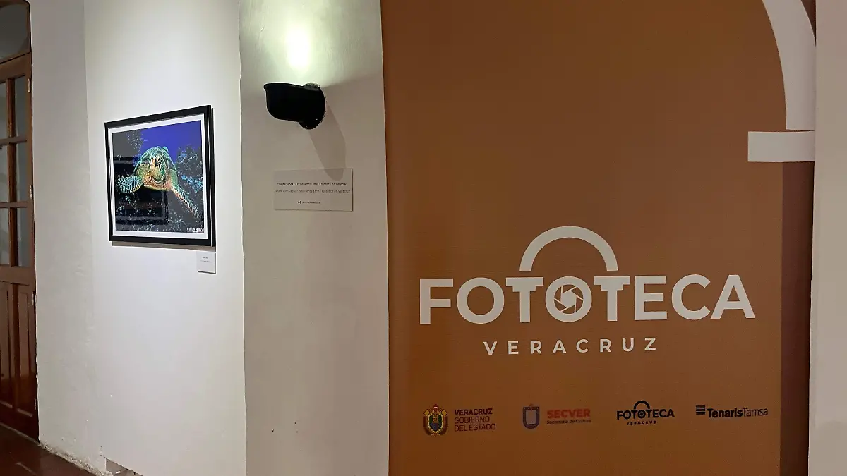 Fototeca