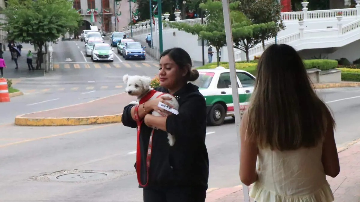 Pasea con tu mascota