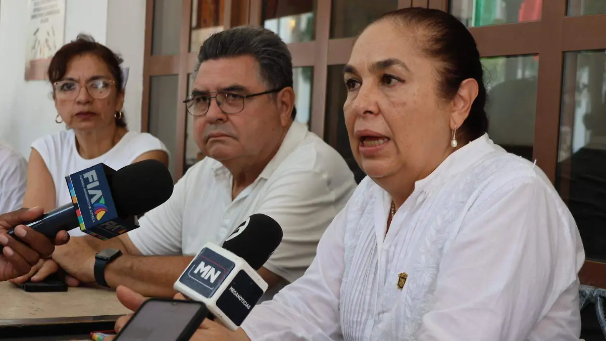 Académicos de la UV