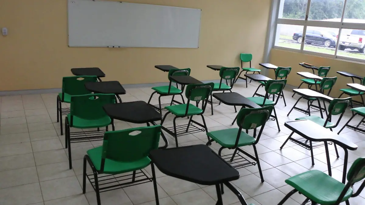 david- Escuela 2 (1)