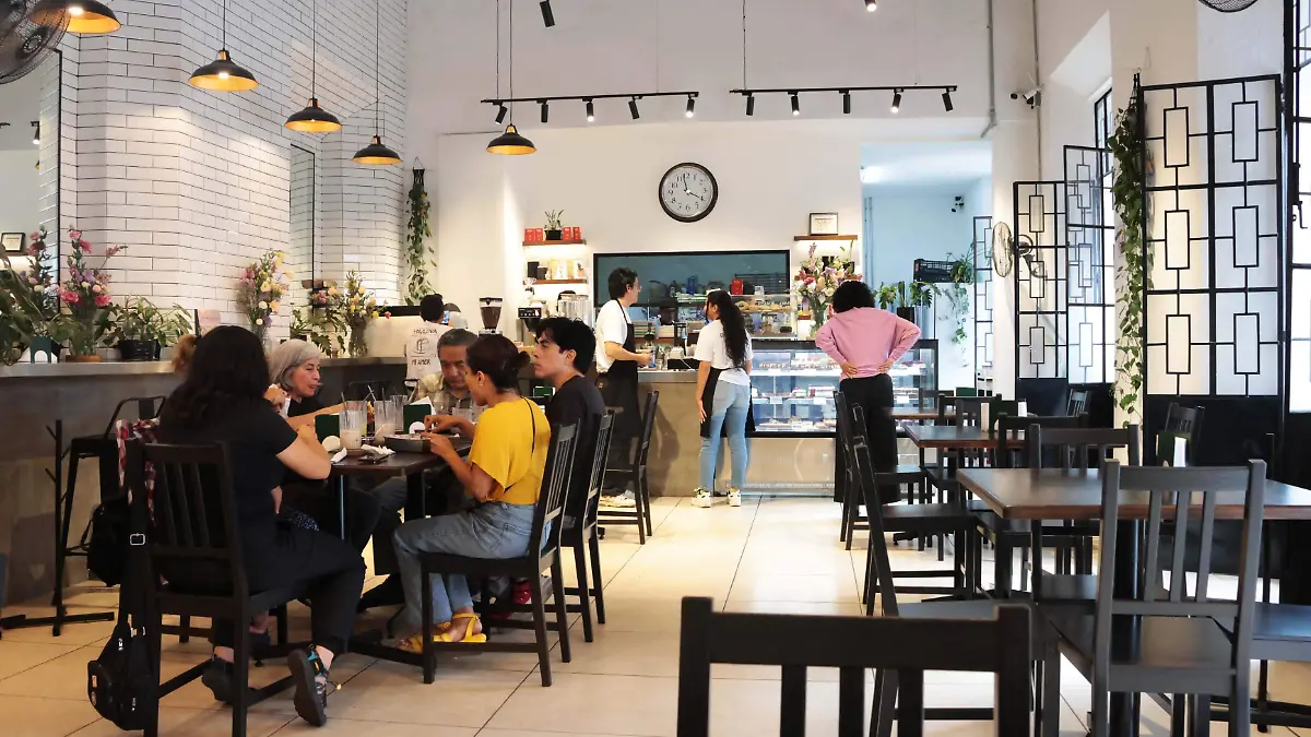 Cafeterías Xalapa (5)