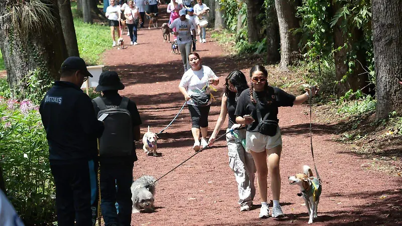 Recorrido 