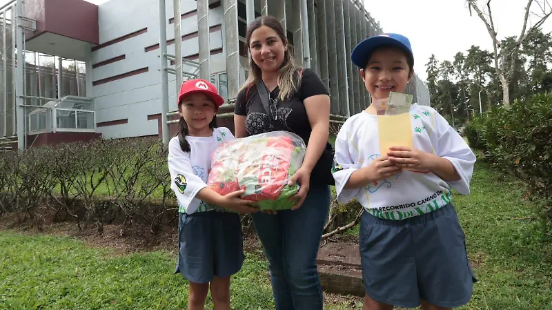 Ganadoras 