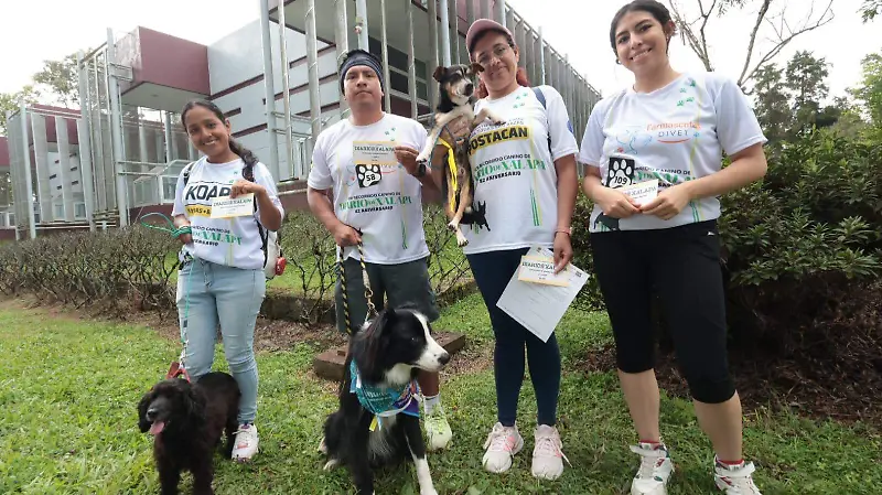 Ganadoras 