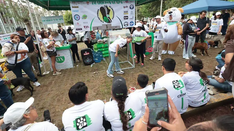 Ganadoras 