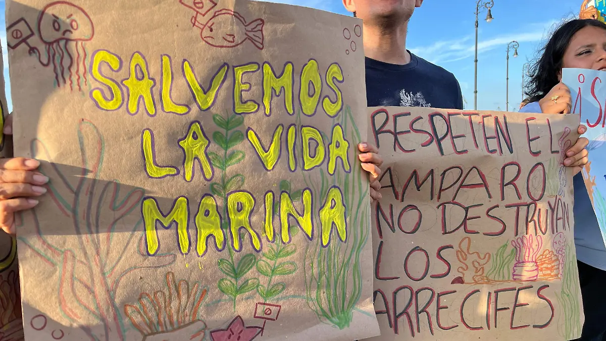 Expresion artistica salvemos los mares